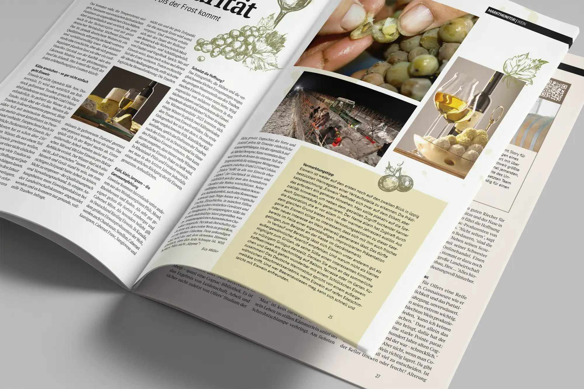 Artikel über Weinqualität im Profi SGL Kundenmagazin – Blick hinter die Kulissen der Weinproduktion